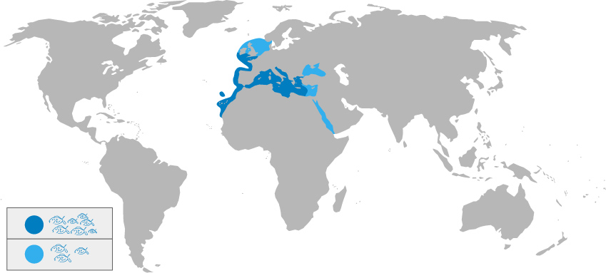 carte localisation dorade