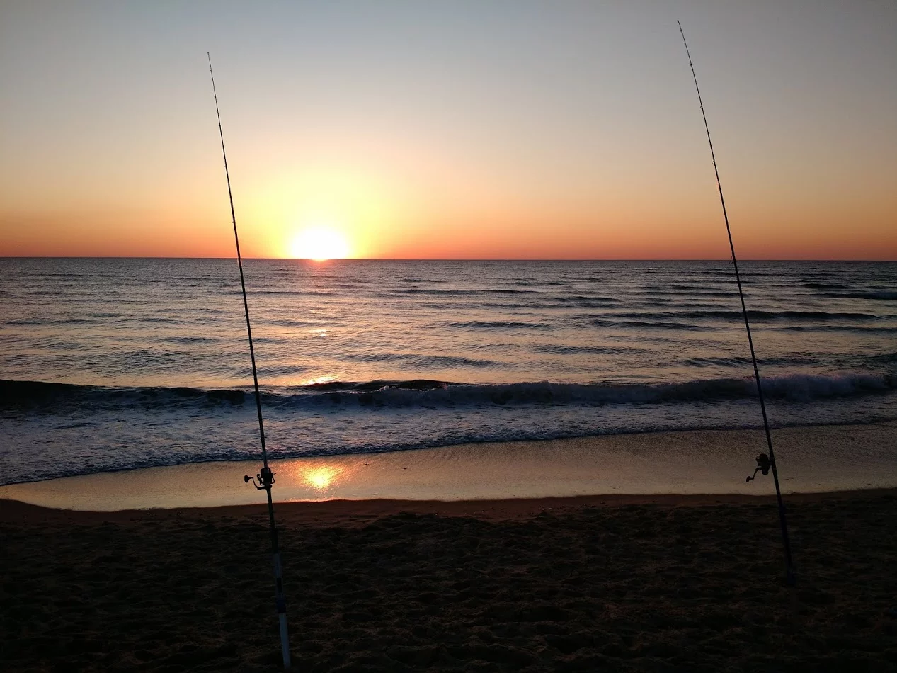cannes dorades en surfcasting